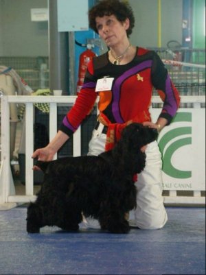 cachou-de-la-petite-pinochere-rcac-ne-montlucon-2009-2