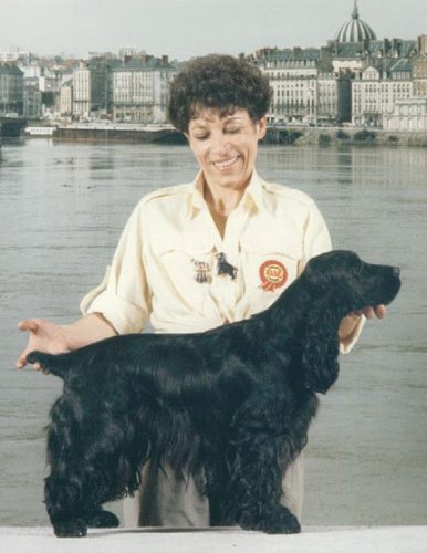 venus-de-la-petite-pinochere-championnat-nantes-1986