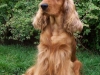 voltige-photo-5
