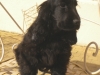 igor-3-mois-dscn1306