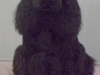 igor-5-mois-et-demi-1