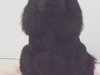 igor-5-mois-et-demi-4