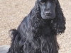 dsc_1528-elsy-2012