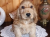 p1000163-male-2-mois-2014-plus-clair-word-pressjpg