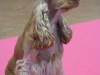 tete-lucy-img_5218