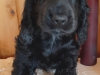 20210911_150431-sacha