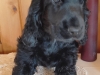 20210911_150432-sacha