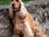 dsc_0060-lucy