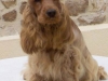 blondy-photo-2