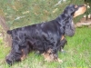 reveuse-photo-4