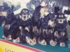 lot-d-elevage-1994