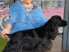 20220327_145201-rosaly