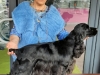 20220327_145413-rosaly