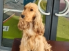 20220327_150739-romy