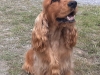 ROMEO 20220703_150552-2