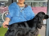 20220327_145158-rosaly