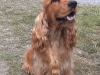 20220703_150925-romeo-13