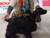 20221120_144520-laura