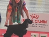 334907853_1512730459130463_6803674463603772242_n-59-oslo-angers-2023