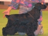 438052paris09cachou1-web-2