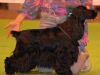 438052paris09cachou1-web