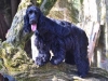 farah-photo-1