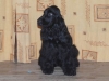 farah-photo-2