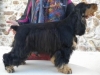 harmelle-2