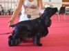 JACOTTE DE LA PETITE PINOCHERE exposition Segré 2016