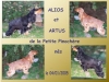 alios-artus-3