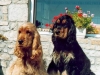 alios-artus-7
