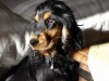 asthon-photo-2