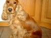 betsy-photo-3