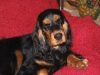 cassy-photo-2