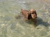 cleo-photo-2
