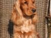 crackott-8