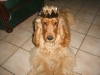 douk-photo-2