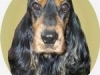 scheyenne-3