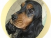 scheyenne-4