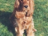 tania