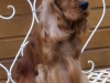 teddy3